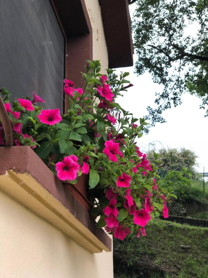 Casa Rural En Plena Naturaleza Lic Uvtr1524 Eguillor Ngoại thất bức ảnh