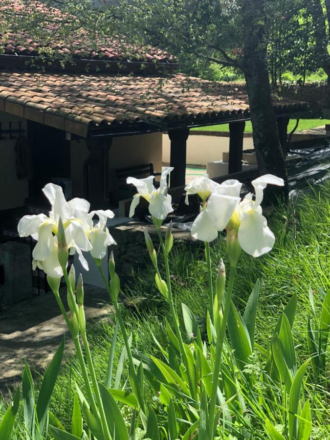 Casa Rural En Plena Naturaleza Lic Uvtr1524 Eguillor Ngoại thất bức ảnh